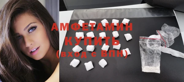 сатива Беломорск