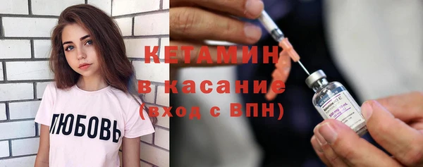 сатива Беломорск