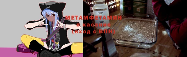 сатива Беломорск