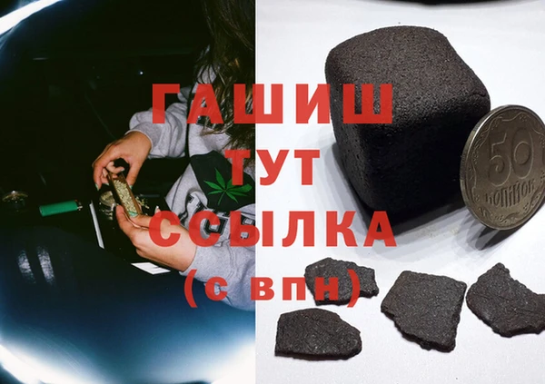сатива Беломорск