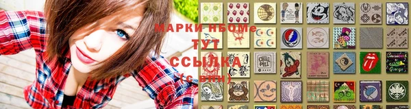 стаф Белокуриха