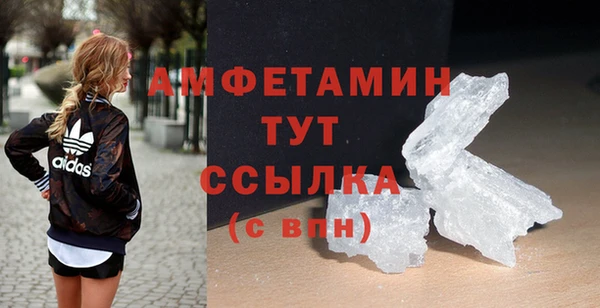 сатива Беломорск