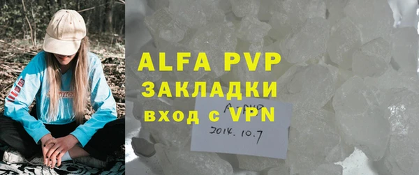 стаф Белокуриха